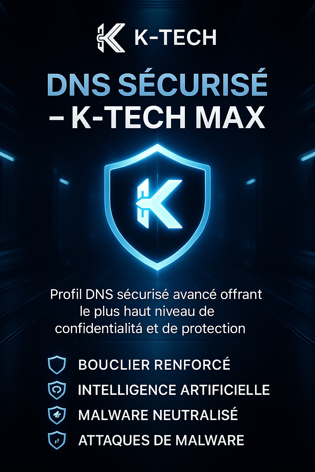 dnsmax.png