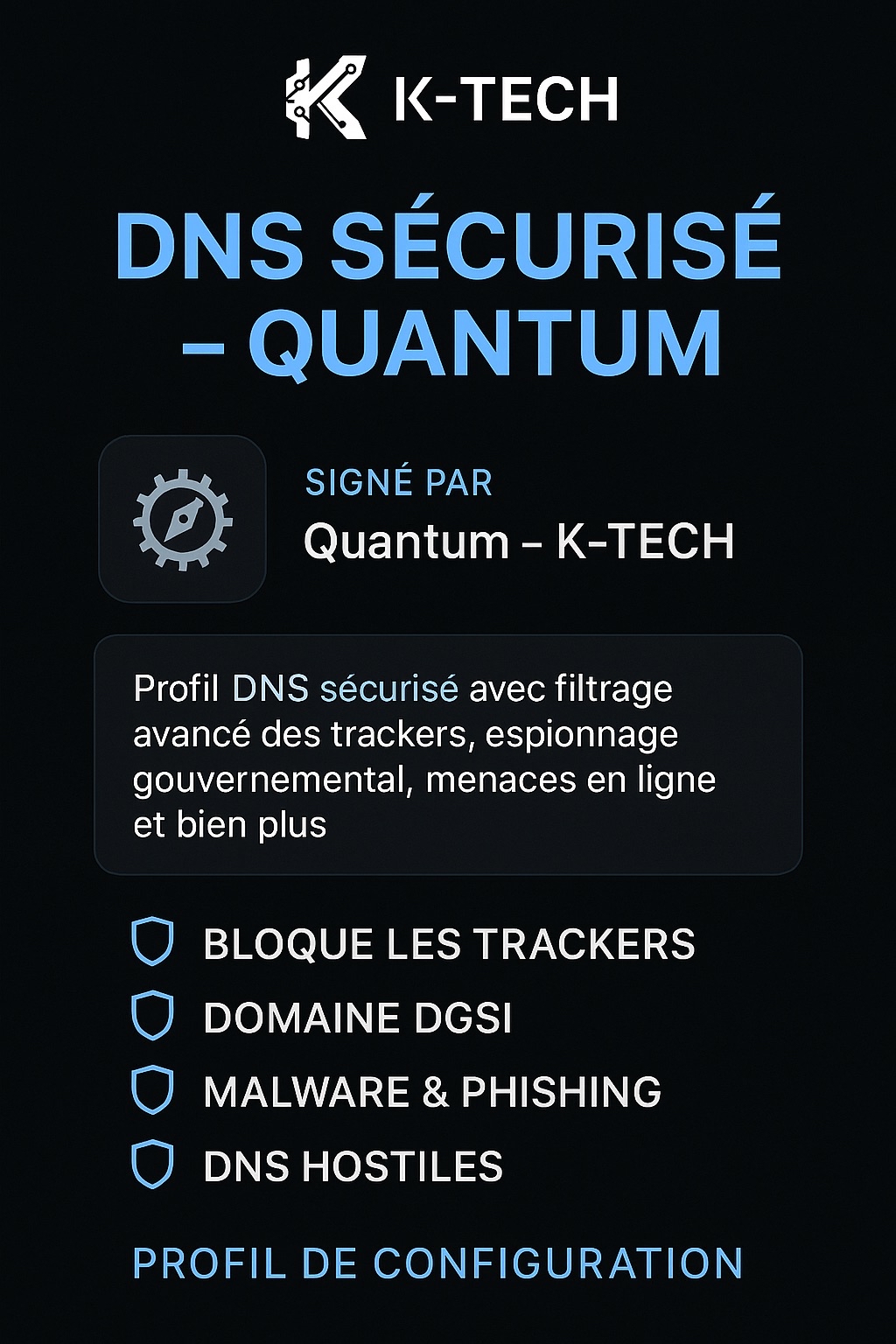 dnsquantum.png